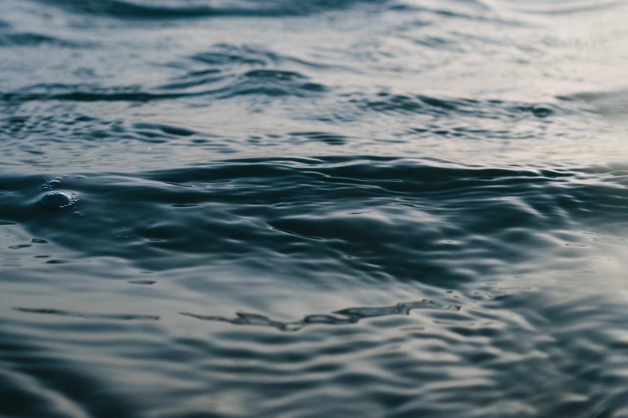 Delving into the Depths: Exploring the Biodiversity of Deep Seas